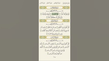 سورة الاخلاص بصوت ماهر المعيقلي 💚💚 #القران_الكريم #القران #ماهرالمعيقلي #ماهر_المعيقلي #استغفرالله