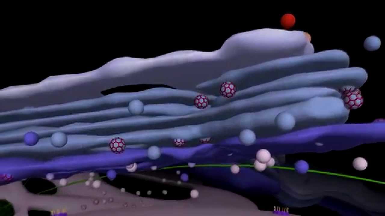 The Journey to a Cultured Mammalian Cell YouTube