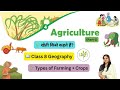 🌾(P1) Agriculture|📘Chapter 4 Geography Class 8 |खेती क्या है? |🏢CGBSE SST|Types of Farming Explained