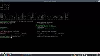 Tutorial comando diff en GNU/Linux