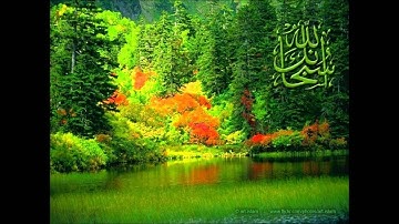 محمد المحيسني سورة القدر