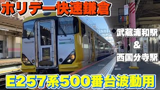 【掘り出し】E257系500番台時代のホリデー快速鎌倉。