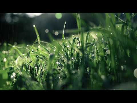 Beautiful Relaxing Music For Calming and Peaceful