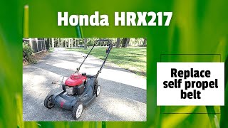 Honda HRX217- in depth on how to replace the self propel belt- You have to take a lot of stuff off!