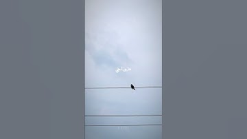 سورة طه ( قال رب اشرح لي صدري ) القارئ : محمد ايوب