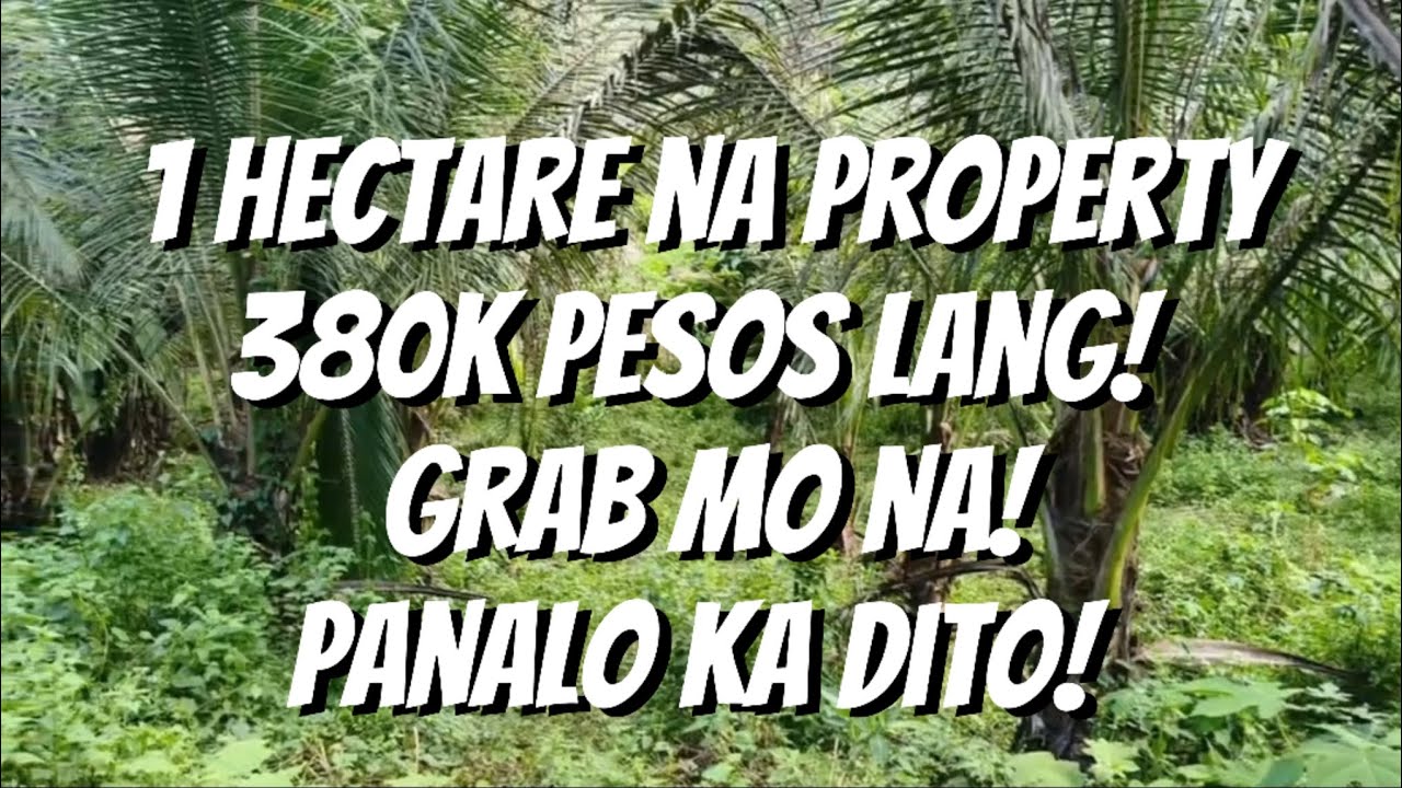 VLOG 123: 1HAS/LOPEZ, QUEZON/MAY KURYENTE,TUBIG,SIGNAL/ 380K ONLY/GRAB MO NA!