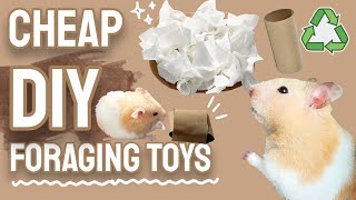 Cheap Easy DIY Foraging Toys to Keep your Hamster Busy! PT.1 🐹🌿 screenshot 3