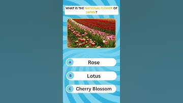 Can You Solve This Quiz Question in 30 Seconds? 😲 | #quizchallenge  #quizshorts  #dailytrivia