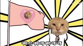 《哈基米起床》曼波 哈基米音樂 - Hachimi music おはなばたけ