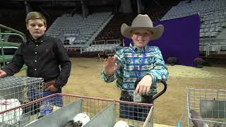 2023 Arkansas State Fair Sale of Champions