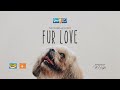 Dear ifm  fur love  the manelle story