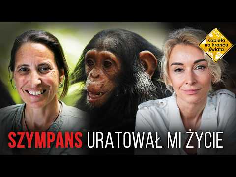 Zainspirowała ją Jane Goodall. Dziś daje głos szympansom | Kobieta na krańcu świata
