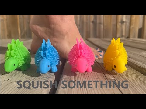 🦕Squish P1