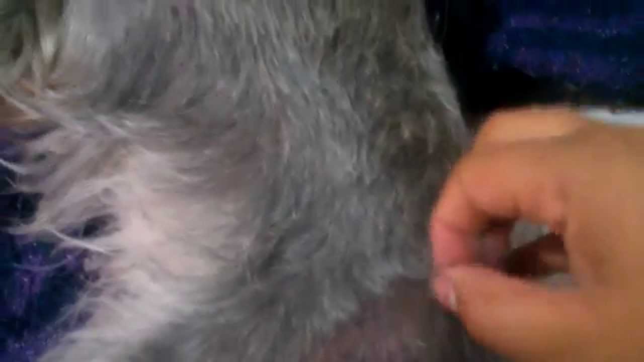 Hand Stripping YouTube