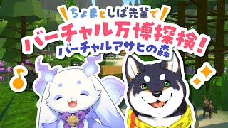 ルンルンの配信のサムネイル画像