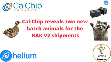 Cal Chip reveals two new batch animals for the RAK V2 Helium miner shipments