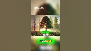 Unlock Your Business Potential | The Power of Delegation | Build Million-Dollar Businesses