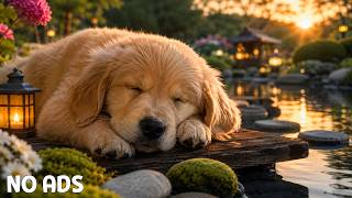 12 Hours Dog Sleep Music 🎹 Relaxing Piano for Deep Sleep & Gentle Comfort