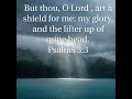 Reading Psalm 3 KJV - with words!