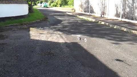 Align Trex 250 DFC AR7200BX first test hop after build