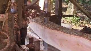 SATISFYING Slicing Tech: Turning Logs into Clean Planks