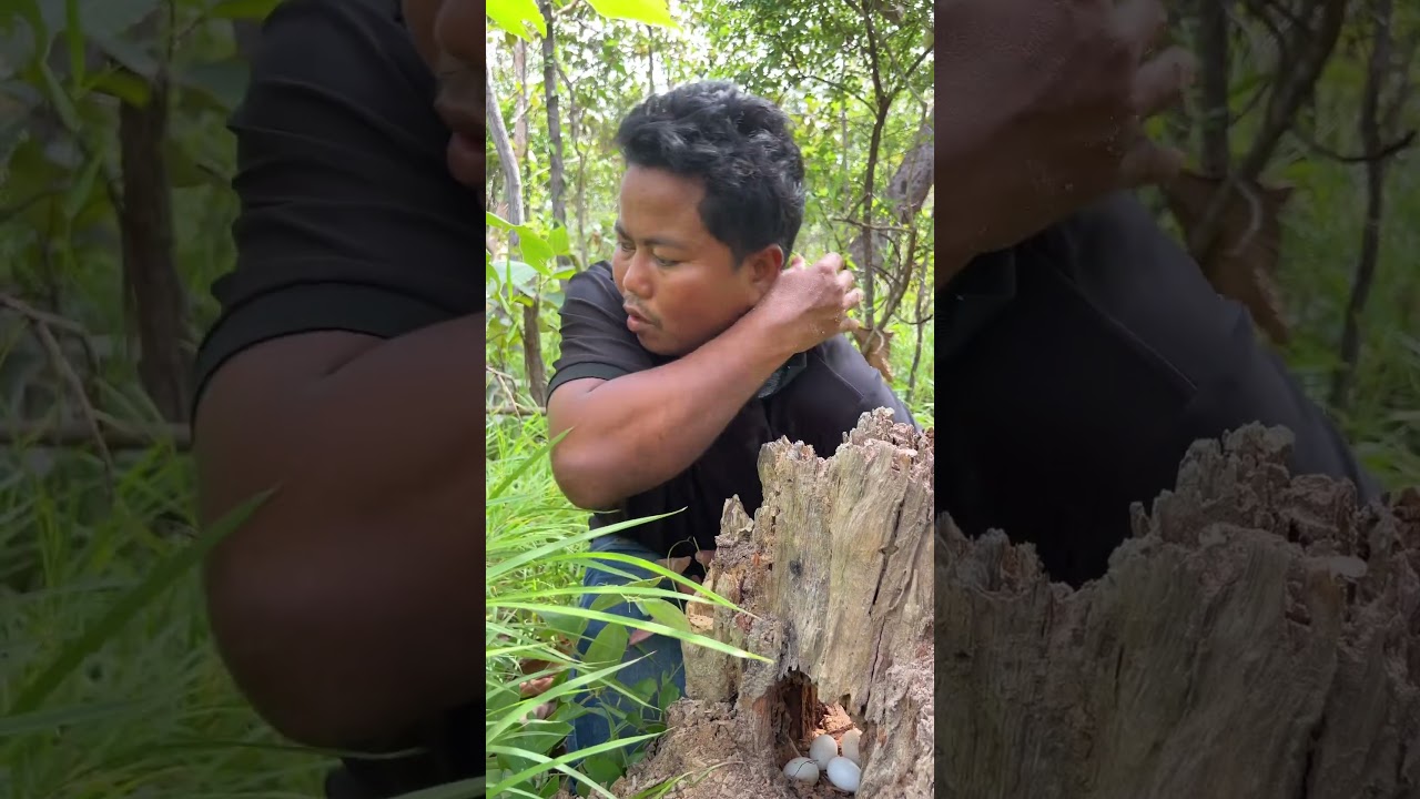 A Man Plays With Parrots In A Nest Part 04. 