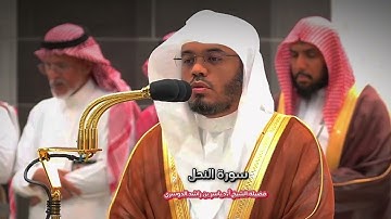 تلاوة فضيلة الشيخ أ.د.#ياسر_الدوسري من صلاة  الفجر 20 صفر 1446هـ﴿وَإِن تَعُدّوا نِعمَةَ اللهِ ..﴾