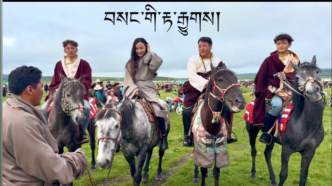 བདུན་པའི་རིག་གྲྭའི་ཤྭ་འཆམས་སེང་འཆམས་དང་བསང་གི་རྟ་རྒྱུགས།|| Horserace in Tibet|| My Tibet vlog 6