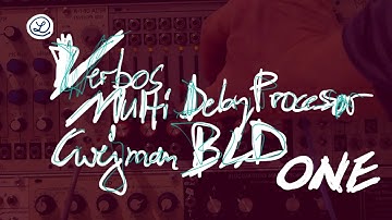 VERBOS MULTI DELAY PROCESSOR // CWEJMAN BLD // 1