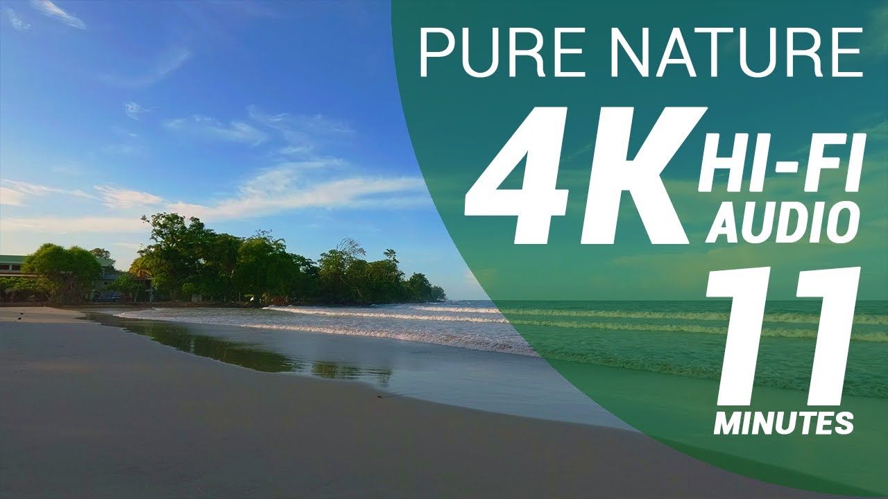 11 Minutes of Pure Nature - Serene Caribbean Beach (4K - Hi-Fi Audio - No Loops)