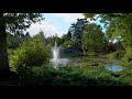 FREE STOCK FOOTAGE - Japanese garden 4k