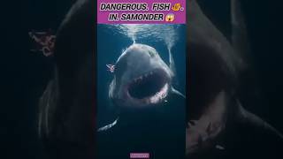 Samundar😱 ki sab se khatarnak machliyaan 🐠 | Dangerous Sea Creatures