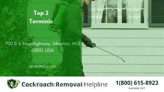 Top 3 Pest Control in Dexter