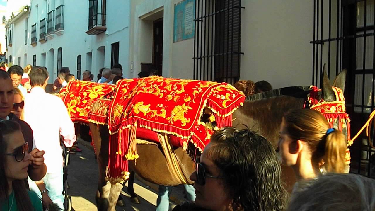 Mulas engalanadas.Berrocal.España/The mules decorated.Berrocal.Spain ...