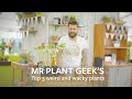 Mr plant geeks top 3 weird  wacky plants  grow at home  rhs