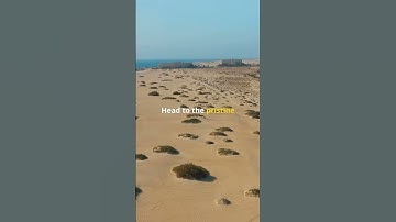 🇴🇲Oman in 1 minutes #travel #asia #middleeast #oman #muscat #salalah #nizwa #jebel #cave #camel