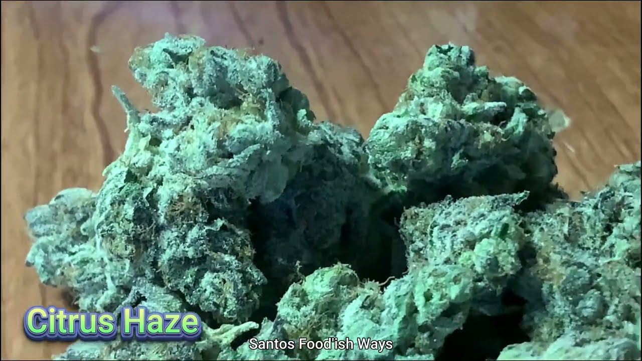 Cannabis Flower "Citrus Haze"