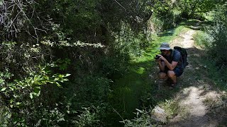 Ruta sendero botánico del río Ebrón - El Cuervo (Teruel)