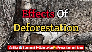 Effects of Deforestation | In English | With Subtitles | Ataullah Raaj