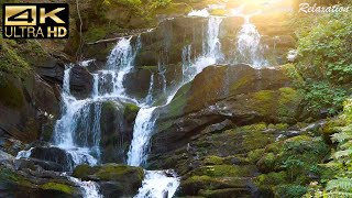 Relaxing Music Along With Beautiful Nature Videos - Relaxing Piano Music 4K For Stress Relief