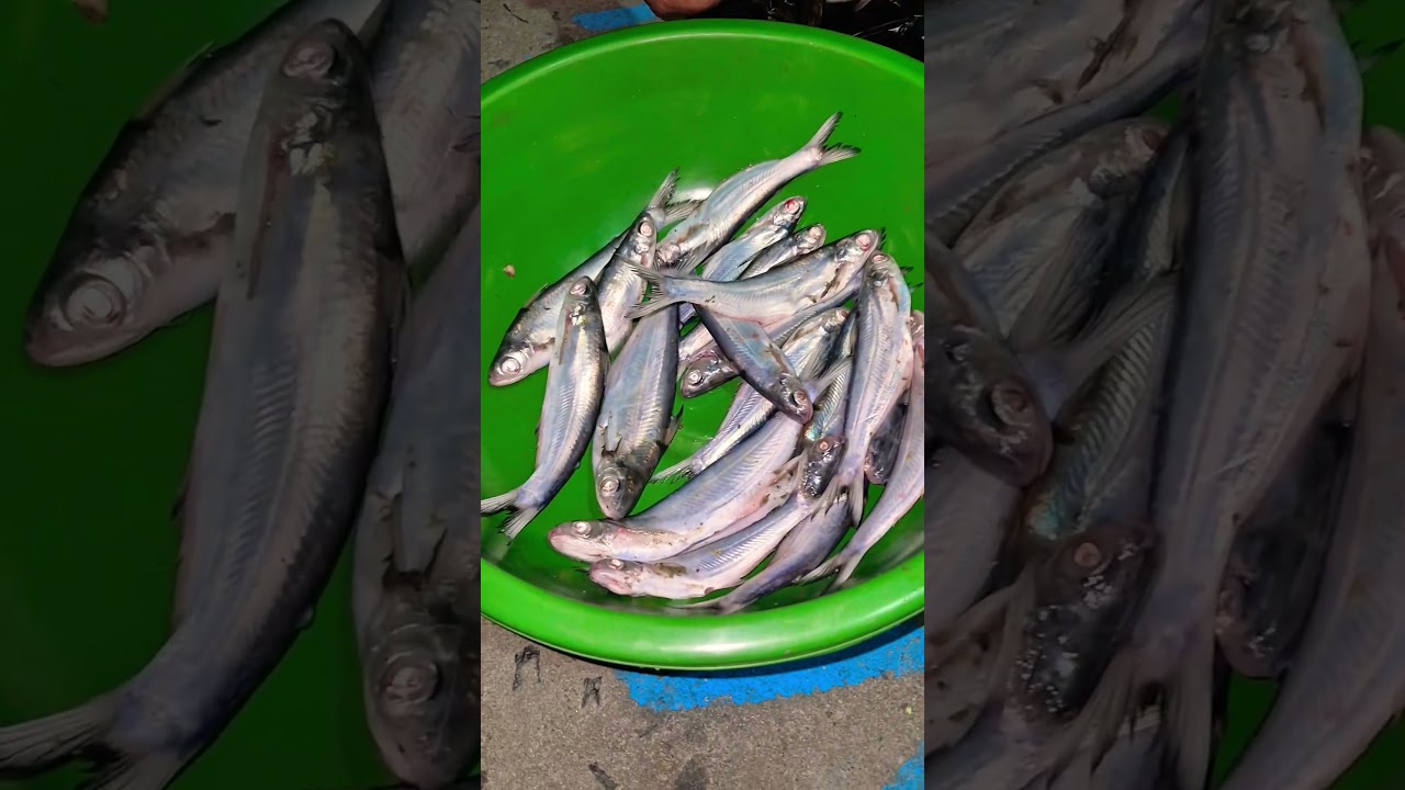 Machhali kaise banate hain