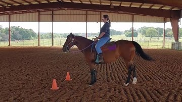 Adult beginner Riding lessons - The figure 8 and serpentine drills using cones for control
