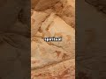 Unveiling the Secrets of Lascaux Cave Paintings! 🖼️