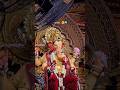 कोनाची वाट पाहत आहे..!🥺🌸 #shorts #bappa #morya #coming #ytshorts #explore #explorepage #foryou