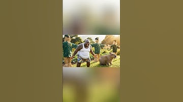 Hùng Trọc đổ lỗi Capybara dẫn công an về bắt bố #capybara #shorts