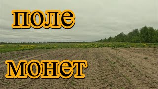 :      