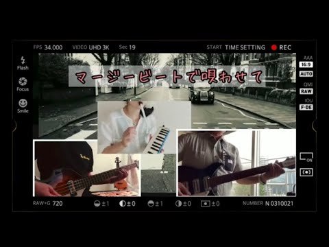『マージービートで唄わせて』#竹内まりや  #ビートルズ好き　#くまちゃんの動画一覧はこちら