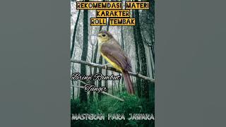 Materi Lawas Yang Bikin Gaco Terdengar Semakin Buas... BRINJI RAMBUT TUNGGIR.