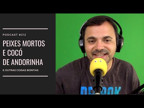 #212 - Peixes mortos e cocó de andorinha...