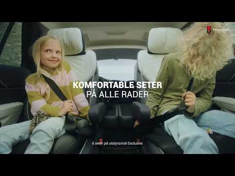 Litt luksus i hverdagen (HONGQI E-HS9)